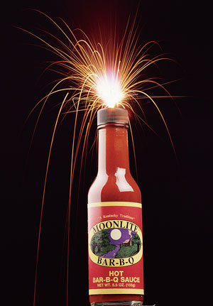 11oz. Hot BBQ Sauce - Includes Shipping 11oz. Hot BBQ Sauce - Includes Shipping